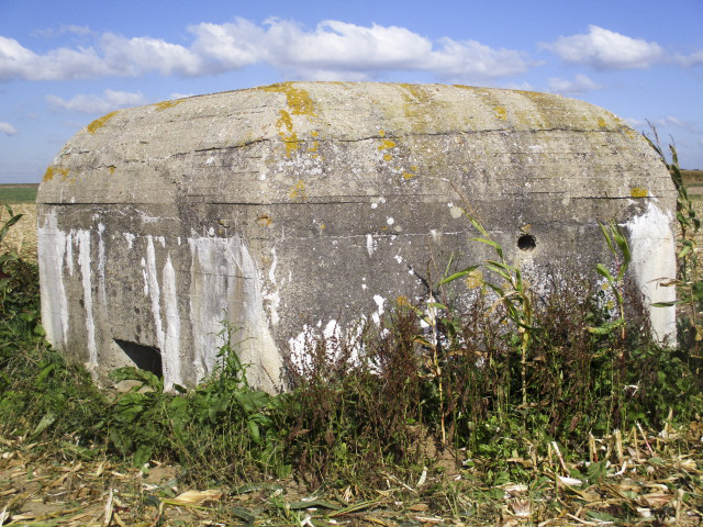 Ligne Maginot - BEF 353 - BAS DU CHEMIN DE CAMPHIN 1 - (Blockhaus pour arme infanterie) - 