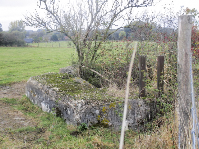 Ligne Maginot - BEF 397 - BOIS DES AULNOIS NORD 1 - (Blockhaus pour arme infanterie) - 