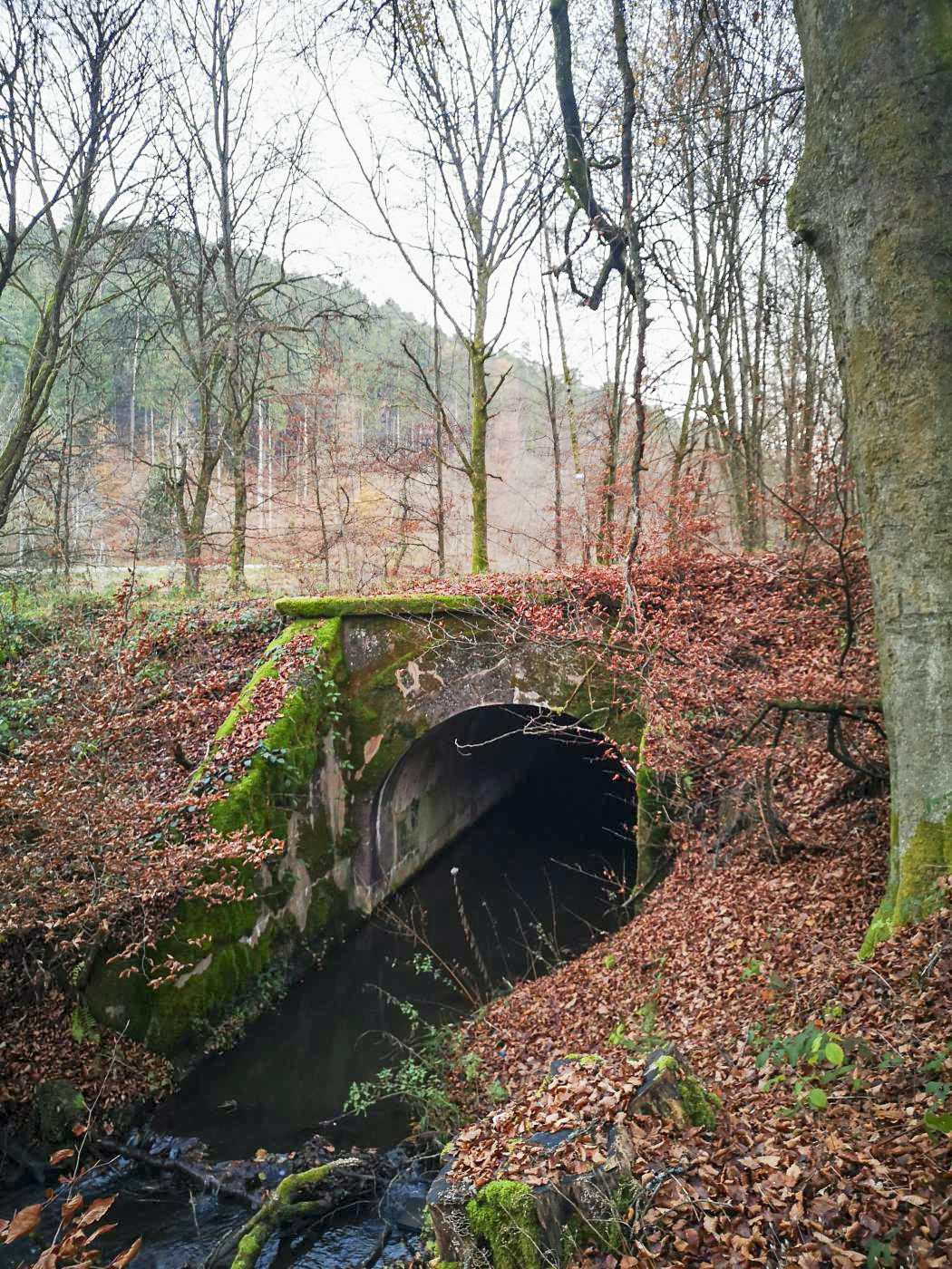 Ligne Maginot - VF60 - ANTENNE DE L'OUVRAGE DU SIMSERHOF - (RESEAU - Voie 60 - Antenne ou rocade ferroviaire) - PONT SUR LE SCHWANGERBACH
Pont de l'ancienne voie ferrée passant au dessus du Schwangerbach