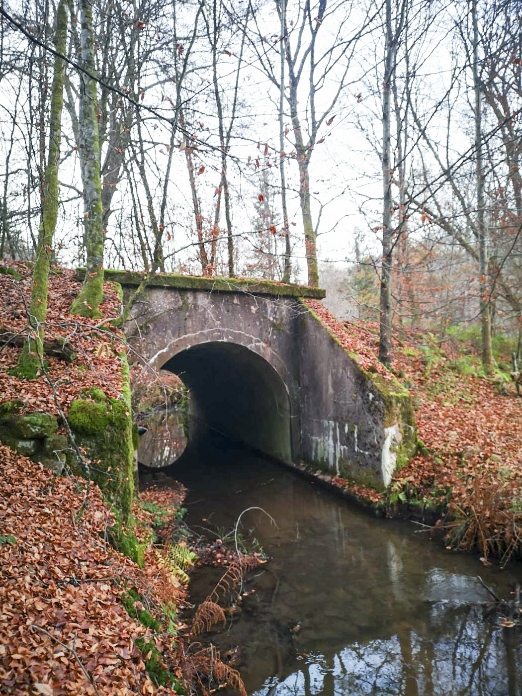 Ligne Maginot - VF60 - ANTENNE DE L'OUVRAGE DU SIMSERHOF - (RESEAU - Voie 60 - Antenne ou rocade ferroviaire) - PONT SUR LE SCHWANGERBACH
Pont de l'ancienne voie ferrée passant au dessus du Schwangerbach