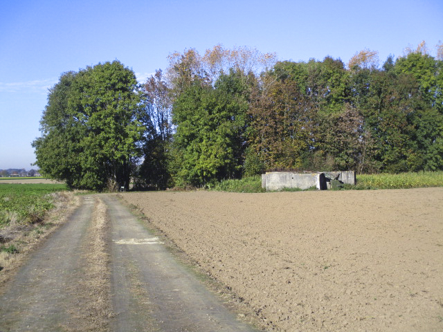 Ligne Maginot - BEF 472 - BOIS JACOB SUD - (Blockhaus pour canon) - Situé dans son environnement.