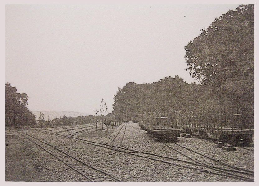 Ligne Maginot - SAINT HUBERT - (Dépôt de Munitions) - 