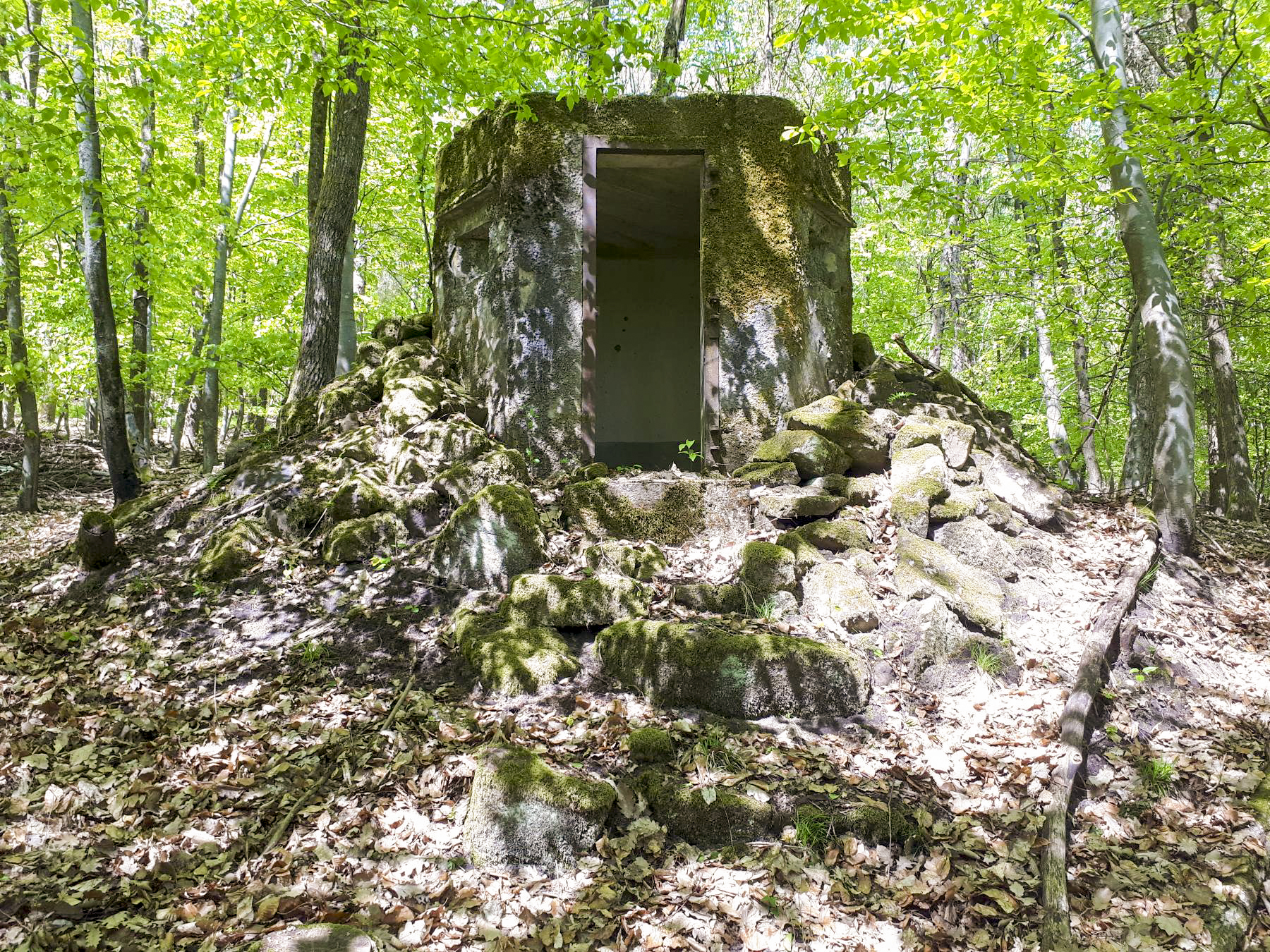 Ligne Maginot - FM49 - WEIBERSLOCH - (Blockhaus pour arme infanterie) - L'entrée