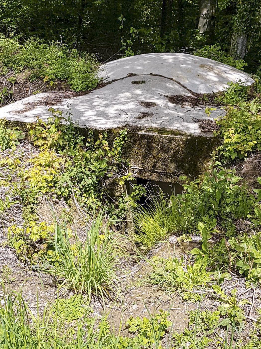 Ligne Maginot - F51BIS - PONT DE L'ALOUETTE CENTRE - HS105 - (Blockhaus pour arme infanterie) - L'entrée