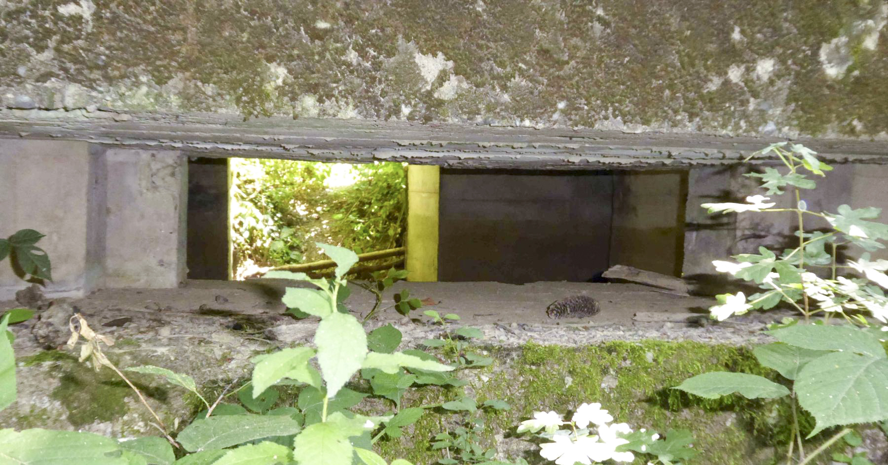 Ligne Maginot - F52 - PONT DE L'ALOUETTE EST - HS106 - (Blockhaus pour canon) - 