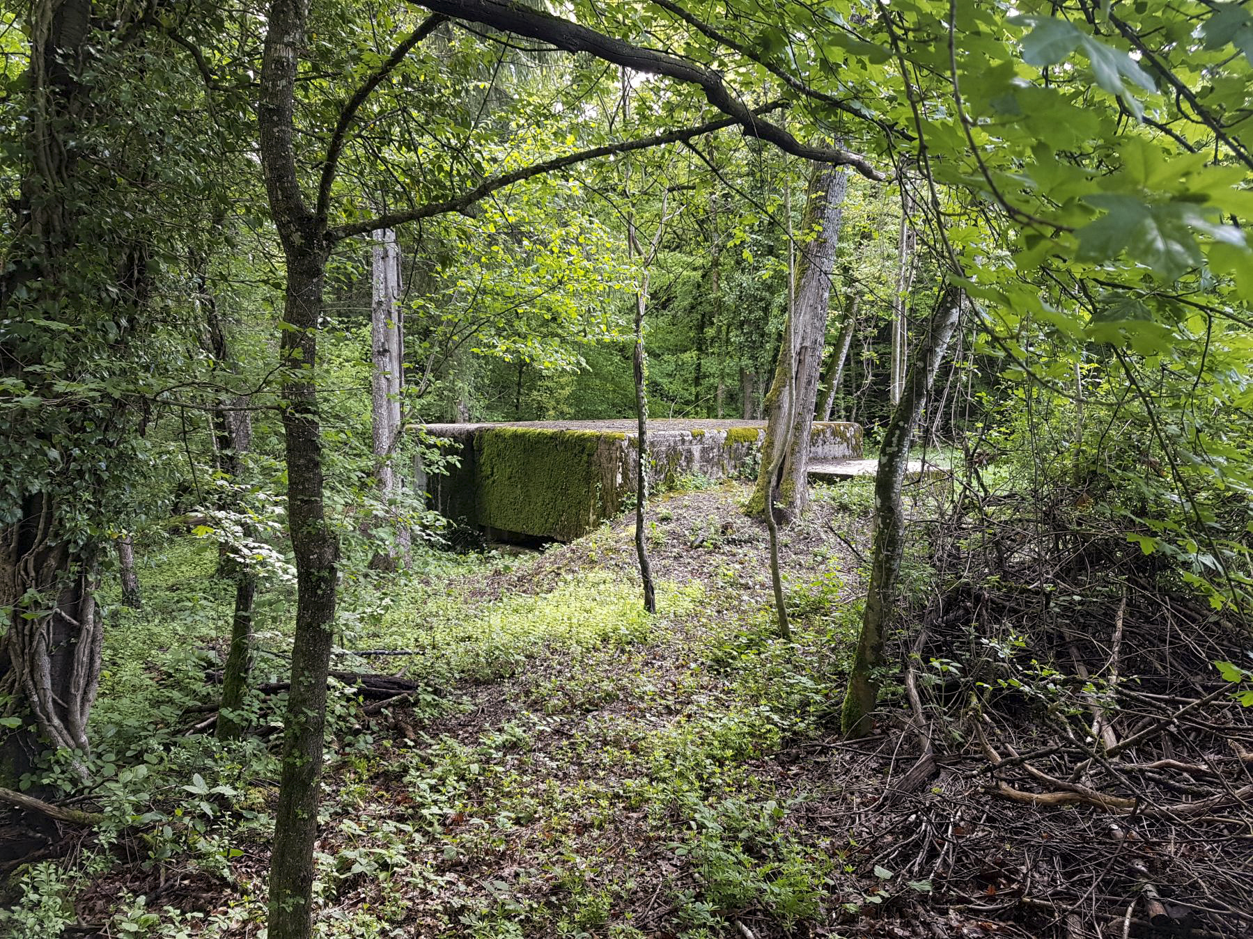 Ligne Maginot - F52 - PONT DE L'ALOUETTE EST - HS106 - (Blockhaus pour canon) - L'ouvrage est en excellent état grâce à la mairie de Charvonnex qui a débroussaillé efficacement rendant l'ensemble accessible.