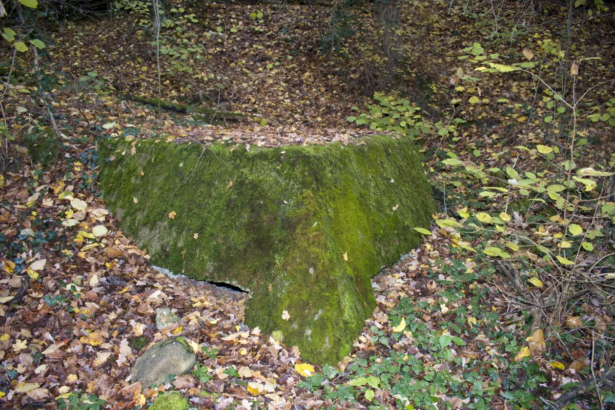 Ligne Maginot - LANGENHAEUSER 2 - (Blockhaus pour arme infanterie) - Créneaux