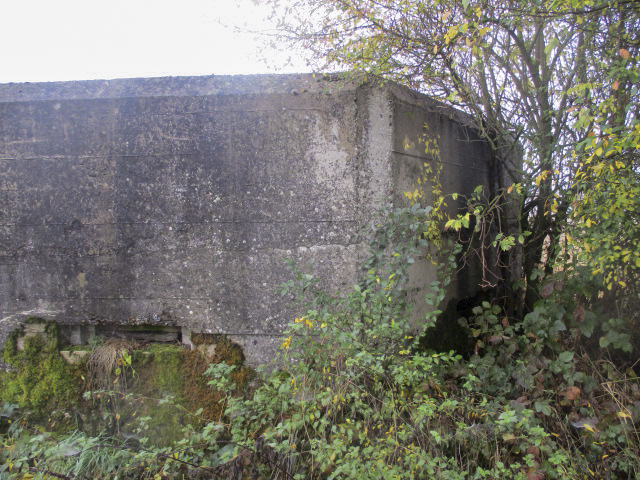 Ligne Maginot - BEF 502 - PONT d'OR Nord (Blockhaus pour arme infanterie) - 