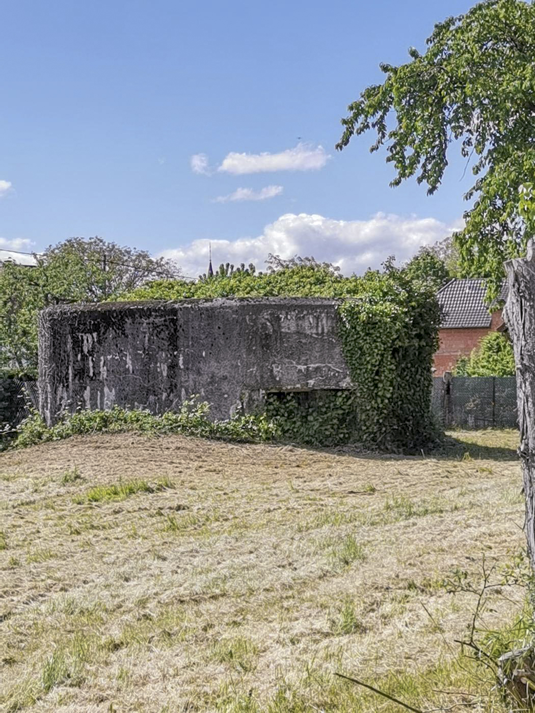 Ligne Maginot - ROSENAU CENTRE 2 - (Blockhaus pour arme infanterie) - Vue de la rue.