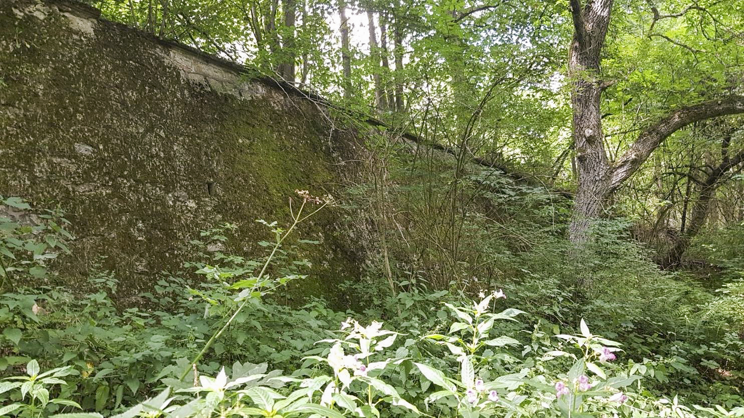 Ligne Maginot - VF60 - ANTENNE DE L'OUVRAGE DU SIMSERHOF - (RESEAU - Voie 60 - Antenne ou rocade ferroviaire) - Pont ferroviaire voie de 60 mur de soutènement