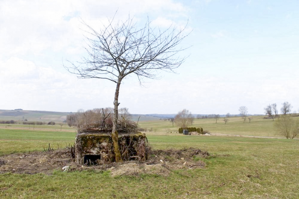 Ligne Maginot - ACHENER WEG 8 (Blockhaus pour arme infanterie) - Vue generale