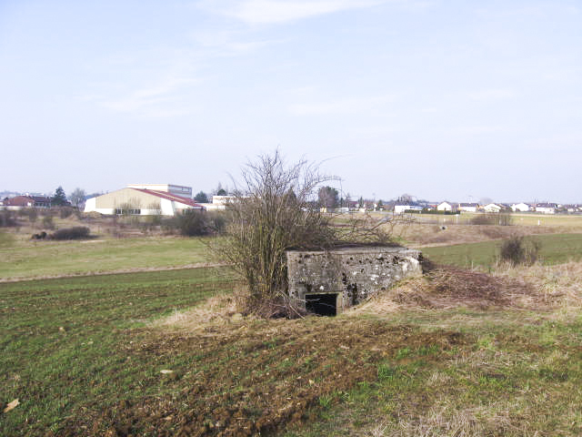 Ligne Maginot - AUF GEBELS 1 - (Blockhaus pour arme infanterie) - Vue générale