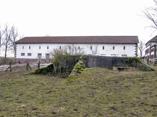 Ligne Maginot - BOMBACHERHOF 1 - (Blockhaus pour arme infanterie) - Vue générale