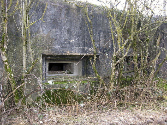 Ligne Maginot - BOMBACHERHOF 1 - (Blockhaus pour arme infanterie) - Créneau mitrailleuse