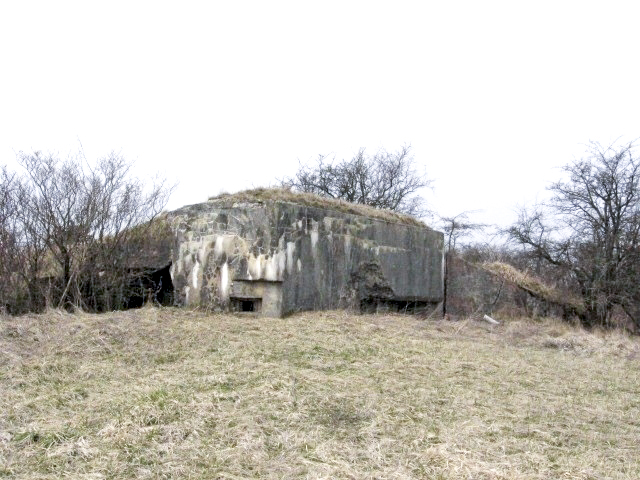 Ligne Maginot - BREITWIESE 1 - (Blockhaus pour arme infanterie) - Vue générale