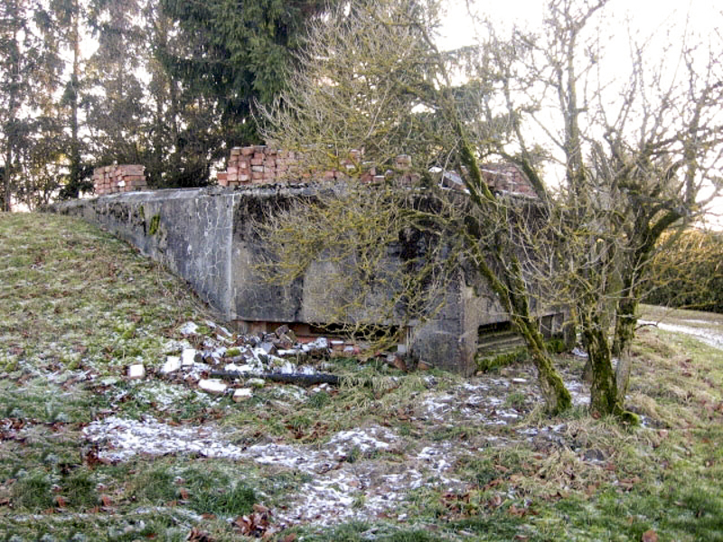 Ligne Maginot - ELSENBERG 3 - (Observatoire d'artillerie) - Vue générale