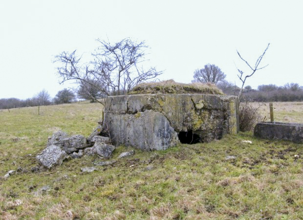 Ligne Maginot - FERME WELSCHHOF NORD - (Blockhaus pour arme infanterie) - Vue générale