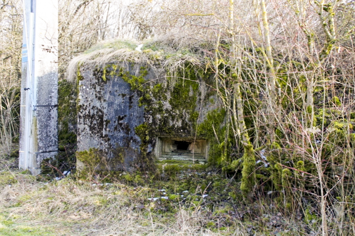 Ligne Maginot - FIRST 4 - (Blockhaus pour arme infanterie) - Vue générale