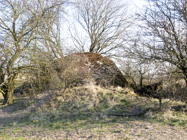 Ligne Maginot - HAMMELSWIESE 1 - (Blockhaus pour arme infanterie) - Vue générale