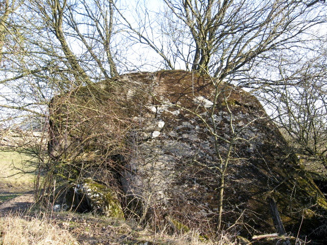 Ligne Maginot - HAMMELSWIESE 1 - (Blockhaus pour arme infanterie) - Vue générale