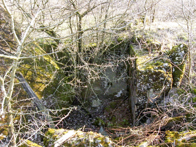 Ligne Maginot - HAMMELSWIESE 1 - (Blockhaus pour arme infanterie) - L'entrée