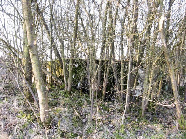 Ligne Maginot - HAMMELSWIESE 2 - (Blockhaus pour arme infanterie) - Façade de tir