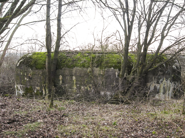 Ligne Maginot - HAMMELSWIESE 5 - (Casemate d'infanterie) - Vue générale