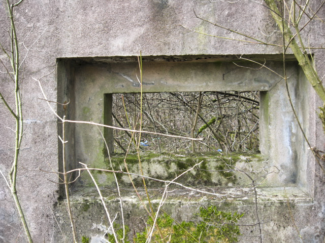 Ligne Maginot - HAMMELSWIESE 5 - (Casemate d'infanterie) - Faux créneau