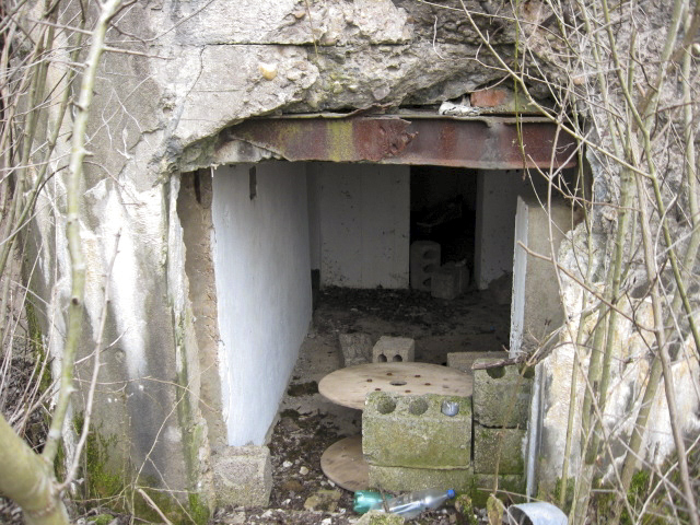 Ligne Maginot - HAMMELSWIESE 5 - (Casemate d'infanterie) - L'entrée du matériel