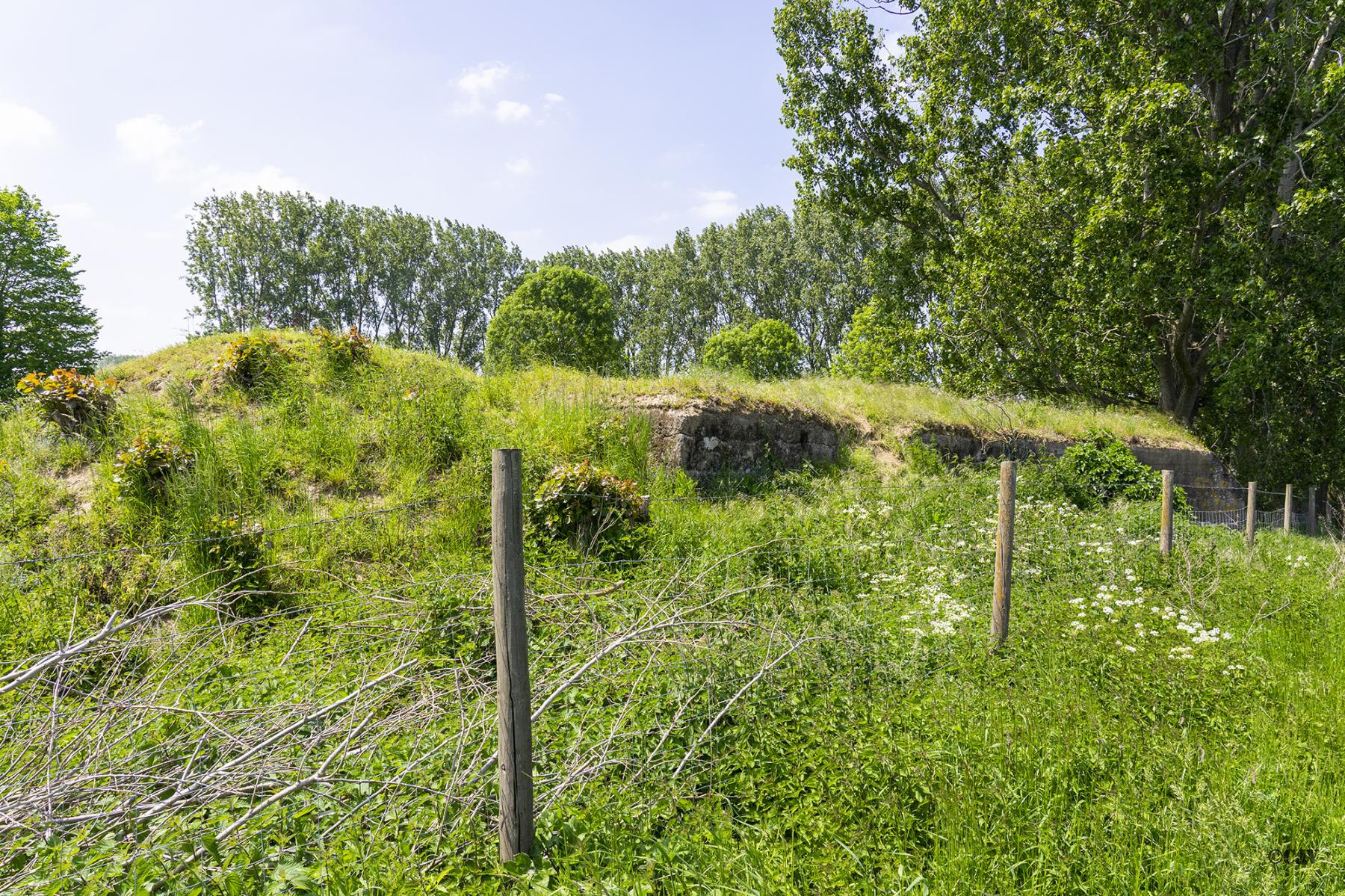 Ligne Maginot - BEF 725 - LE HALOT SUD - (Blockhaus pour arme infanterie) - L'arrière du blockhaus