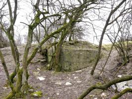 Ligne Maginot - MERRENRIED 2 - (Observatoire d'infanterie) - Vue générale