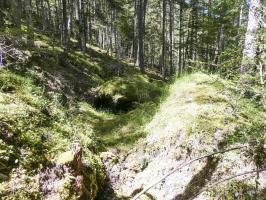 Ligne Maginot - BOIS NOIR 3 - (Abri) - 