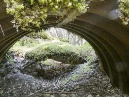 Ligne Maginot - BOIS NOIR 3 - (Abri) - 