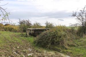 Ligne Maginot - SCHITTEFELD 1 - (Blockhaus pour arme infanterie) - Vue générale