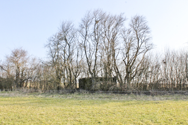 Ligne Maginot - HUNSTWIESE - (Blockhaus pour canon) - Vue générale