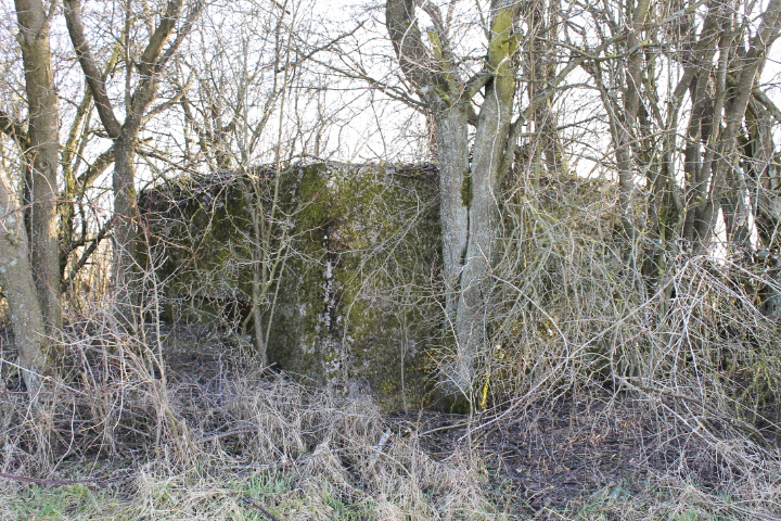 Ligne Maginot - HUNSTWIESE - (Blockhaus pour canon) - Façade de tir