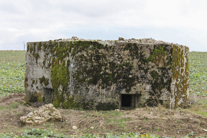 Ligne Maginot - KALKOFEN 2 - (Blockhaus pour arme infanterie) - Facade de tir