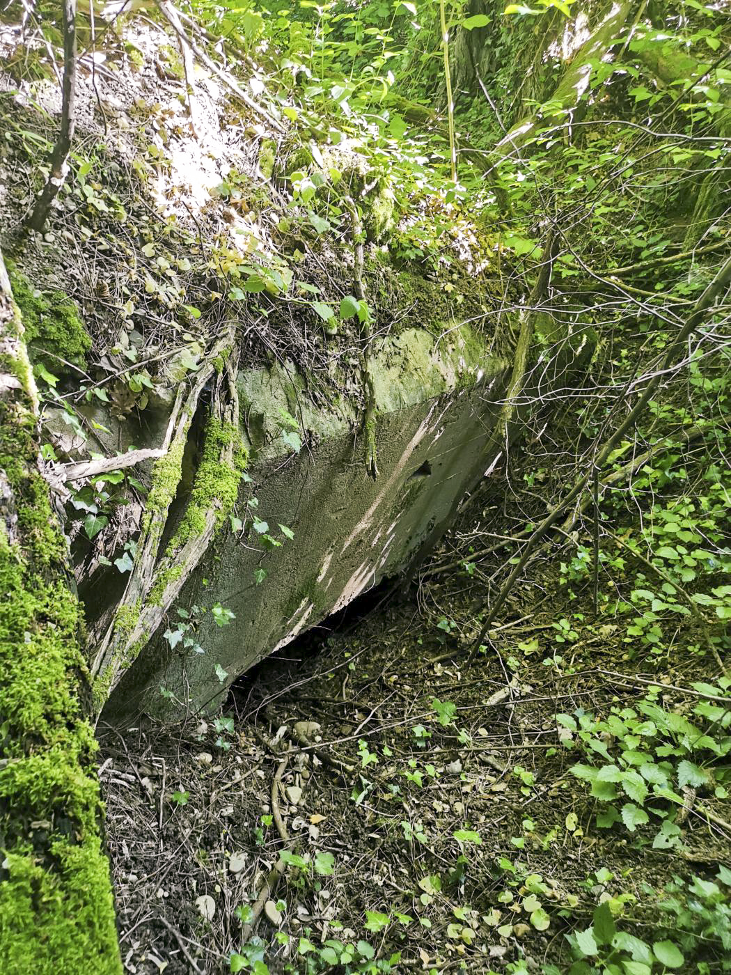 Ligne Maginot - E670 - NOTRE DAME DES CHAMPS - (Blockhaus pour canon) - Complètement remblayé, on ne voit que le haut de l'arrière du blockhaus.