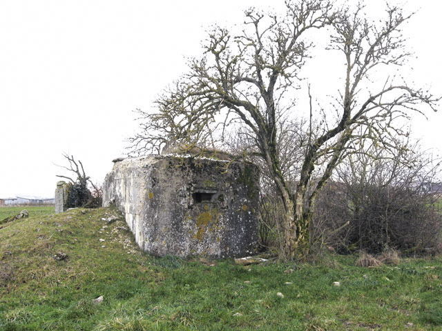 Ligne Maginot - KOPP 5 - (Blockhaus pour arme infanterie) - Vue générale