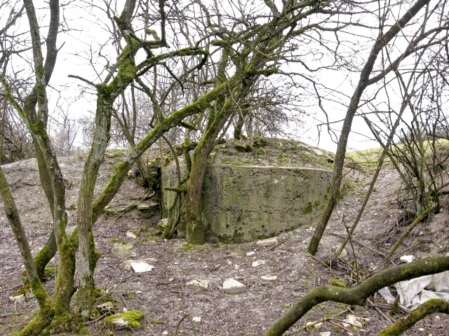 Ligne Maginot - MERRENRIED 2 - (Observatoire d'infanterie) - Vue générale