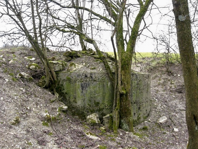 Ligne Maginot - MERRENRIED 2 - (Observatoire d'infanterie) - Vue générale