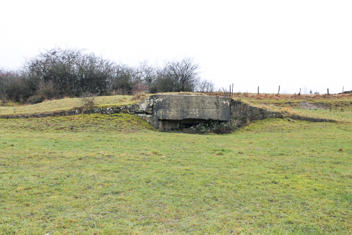 Ligne Maginot - MERRENRIED 5 - (Blockhaus pour canon) - Vue générale