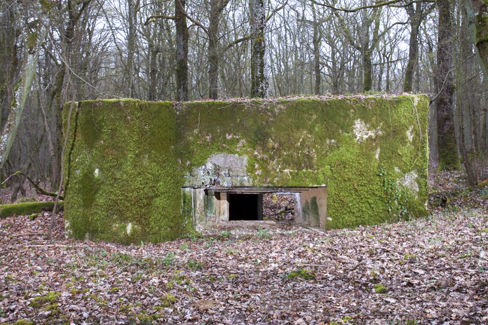 Ligne Maginot - CB303 - KANFENER BUSCH 3 - (Blockhaus pour canon) - 