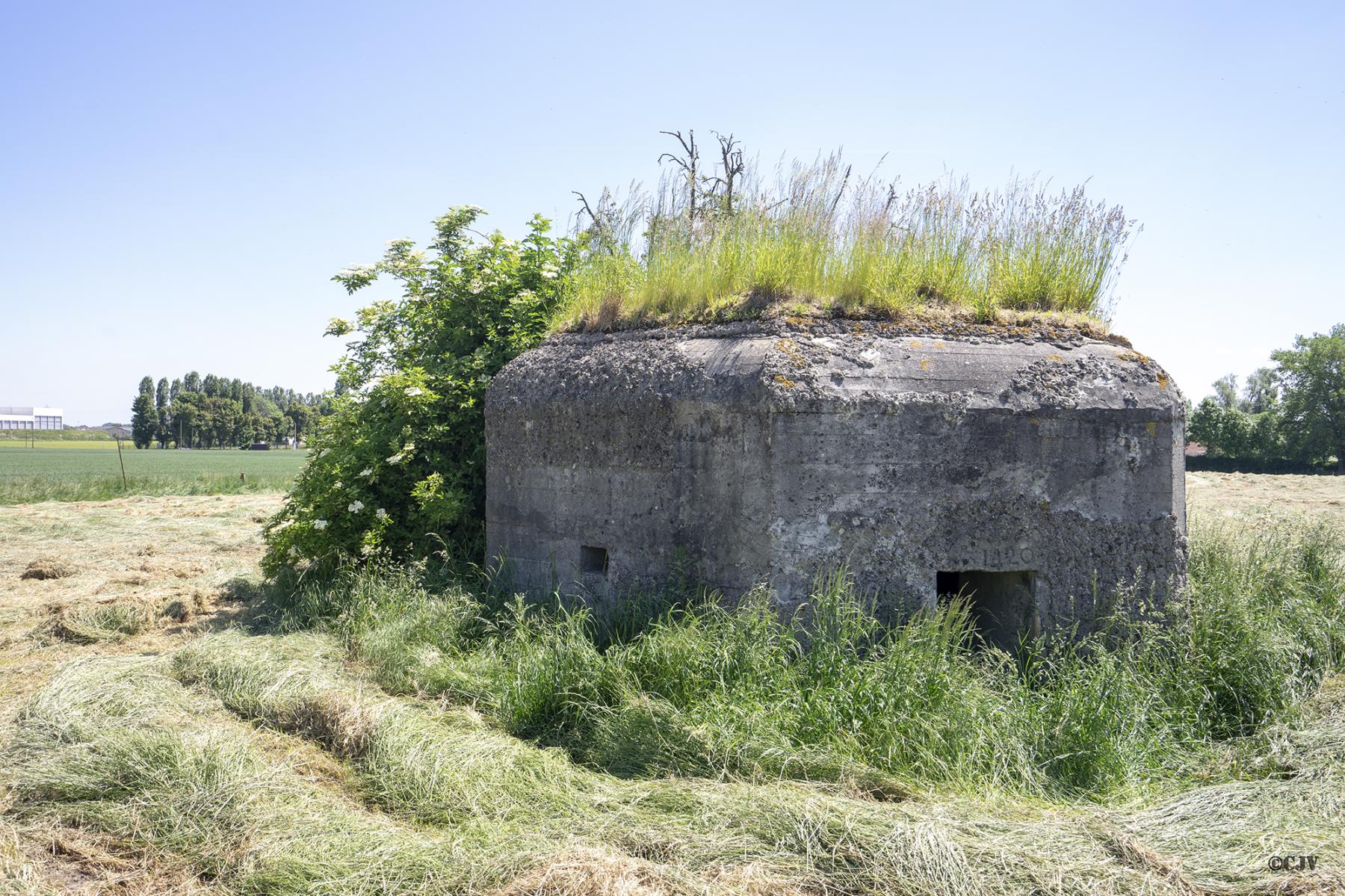 Ligne Maginot - BEF 691 - GAUQUIER EST - (Blockhaus pour arme infanterie) - Créneau vers le Nord-Ouest et l'entrée