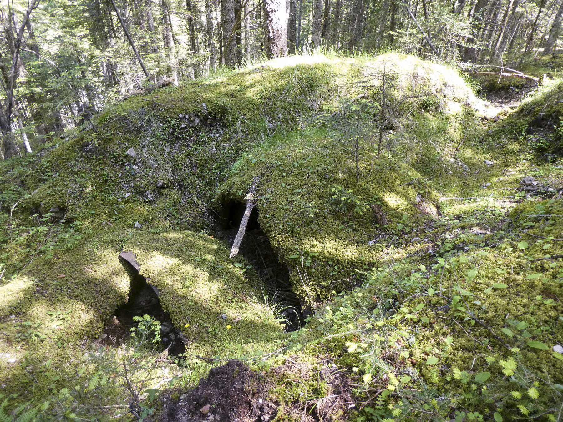 Ligne Maginot - BOIS NOIR 6 - VALDEBLORE   - (Abri) - Vue d'en haut