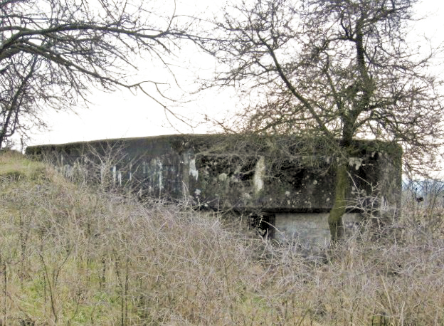 Ligne Maginot - POUHL - (Blockhaus pour arme infanterie) - Façade de tir