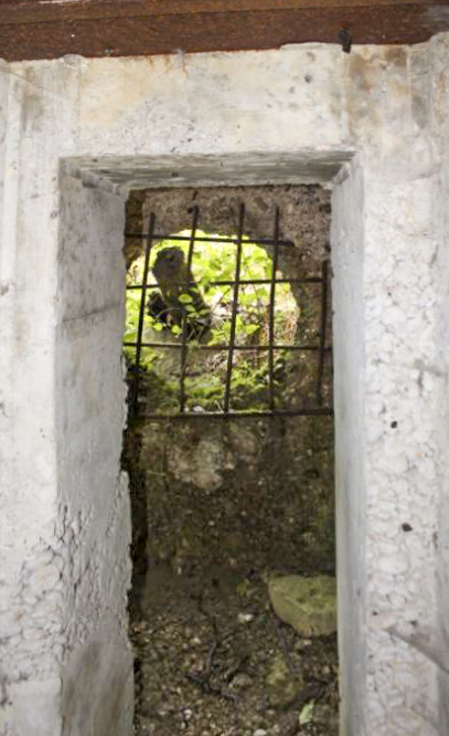 Ligne Maginot - SCHITTEFELD 1 - (Blockhaus pour arme infanterie) - L'entrée de la chambre de tir
Impact d'obus dans le sas