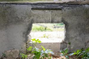 Ligne Maginot - GERSTHEIM CANAL SUD - (Blockhaus pour canon) - Créneau central