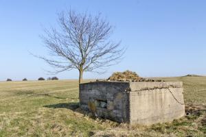 Ligne Maginot - STAND de TIR Est (Blockhaus pour arme infanterie) - Façade de tir
Au fond a gauche, une ligne de cinq blockhaus