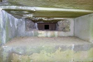 Ligne Maginot - WASENBERG 5 - (Blockhaus pour canon) - 